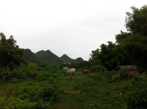 20130726-170301.jpg