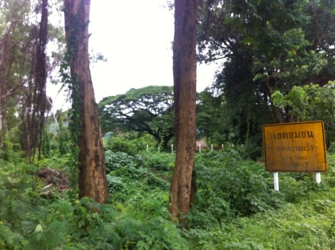 20130726-170401.jpg