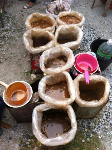 fermented fish