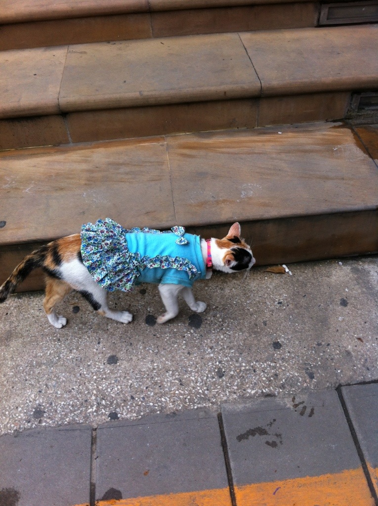 20130730-194412.jpg