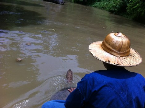 hope she can swim!
