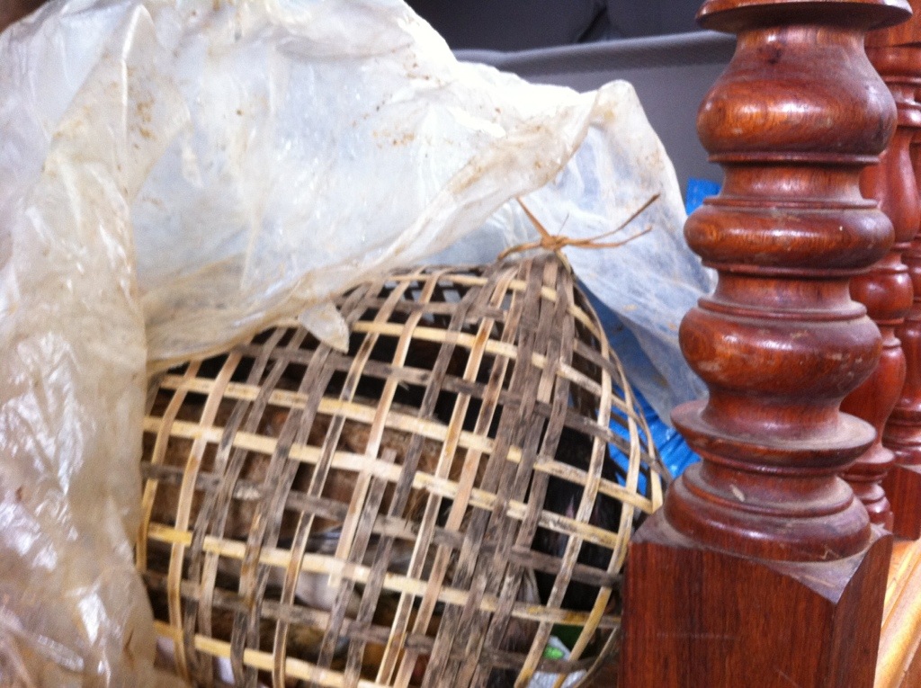 some clucky passengers